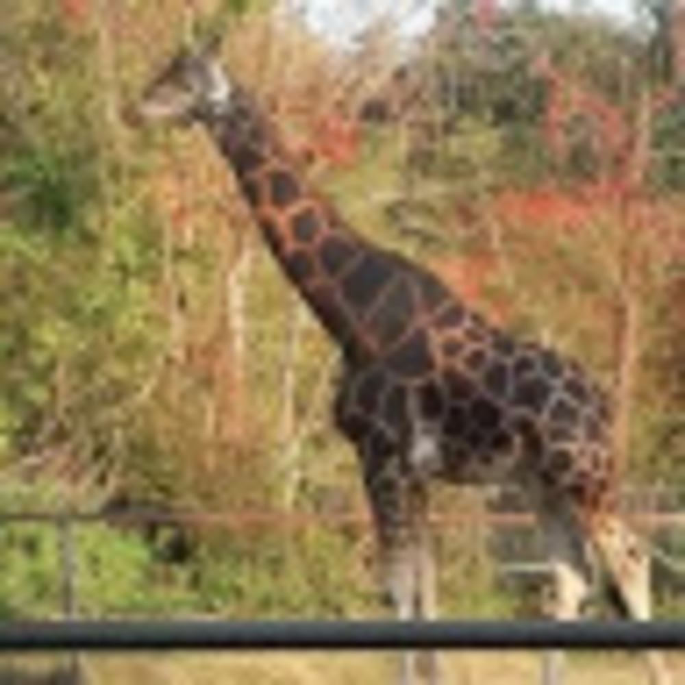 Meet your Posher, Kristin